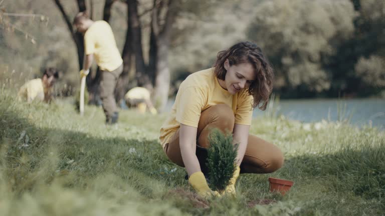 Best Tree Maintenance Programs  in Mohnton, PA