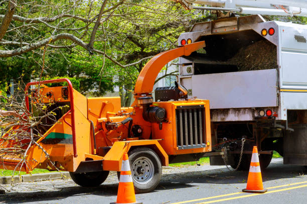 Best Arborist Consultation Services  in Mohnton, PA
