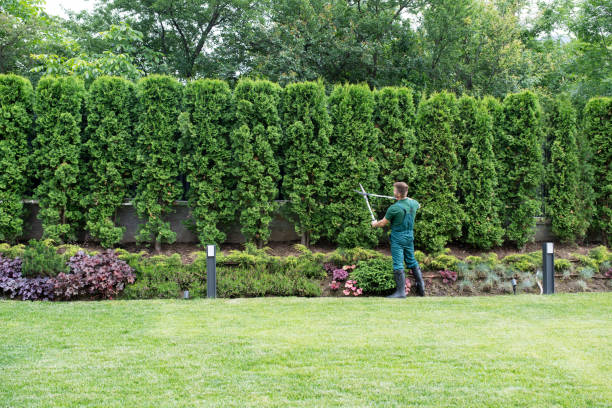 Best Pest Control for Lawns  in Mohnton, PA