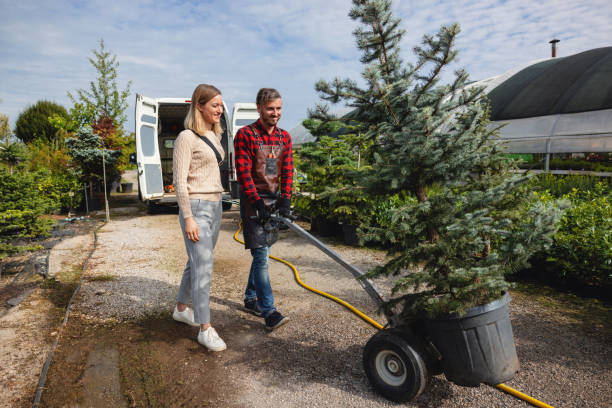 Best Tree Cabling and Bracing  in Mohnton, PA